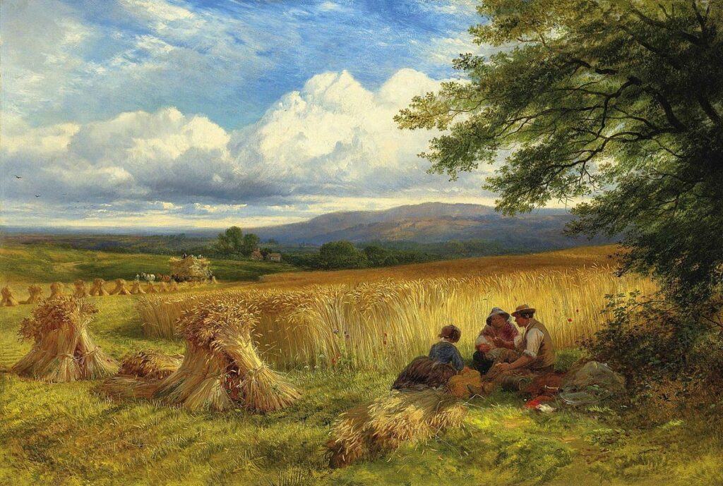 George Cole - Suasana pane Harvest Field