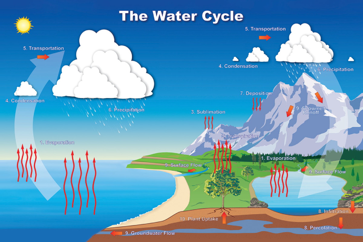 atlas marine cycle