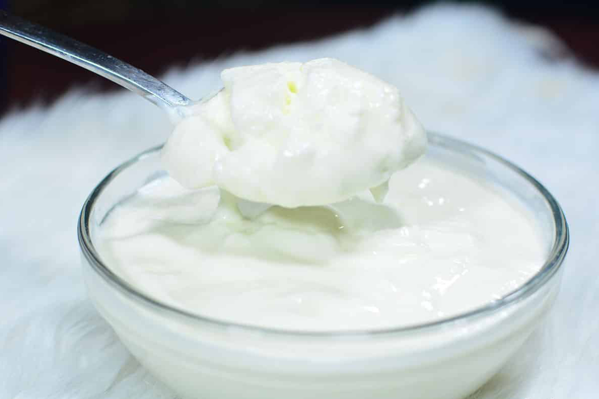 Praktikum Pembuatan Yogurt