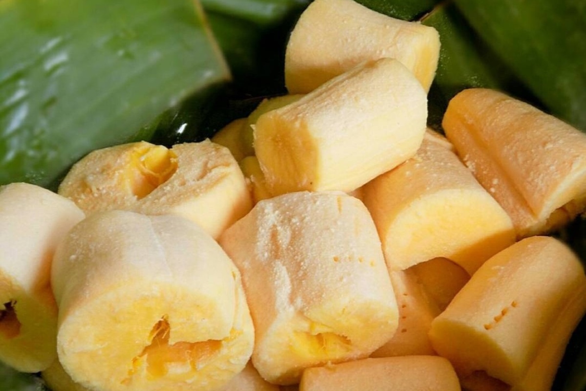 Tapai Singkong dengan Ubi Kayu