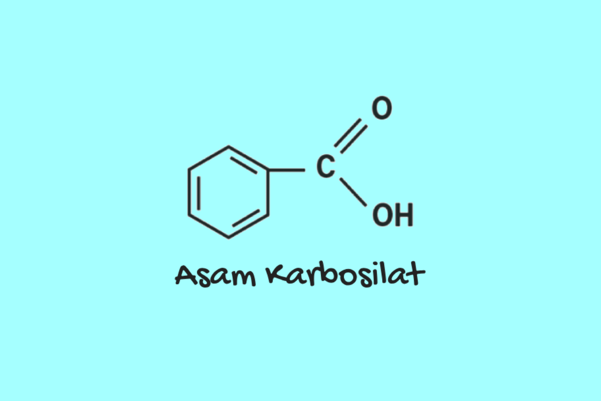 Praktikum Karbosilat dan Ester Kimia