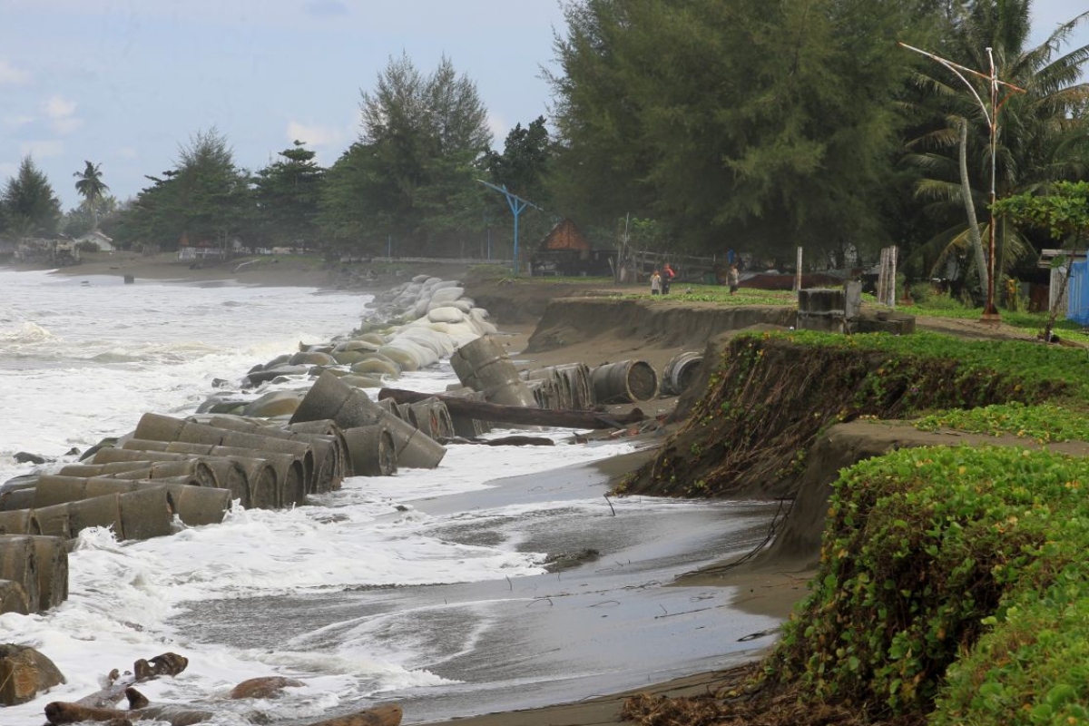 KTI Laporan Studi Kasus Peran Mangrove Dalam Meminimalisir Dampak Abrasi
