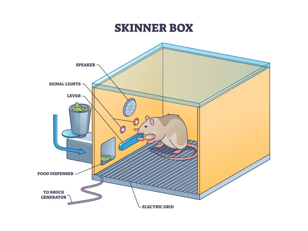 Operant Conditioning Teori Operant Conditioning Skinner